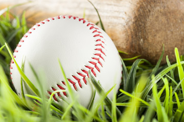 New White Baseball in green grass