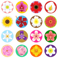 Flower Collection Set