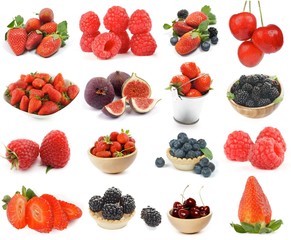 Collection of Berries