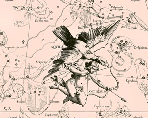 Constellation vintage map