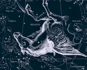 Constellation vintage map - 50636881