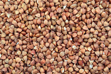 grains of buckwheat