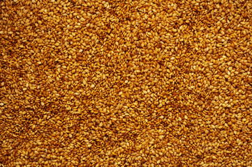sesame background