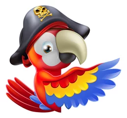Washable wall murals Pirates Parrot pirate pointing