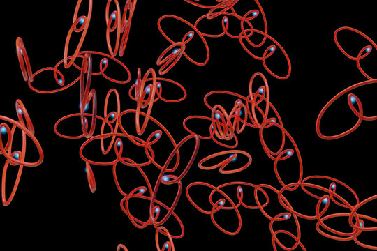 String theory - Strings - 3D Render