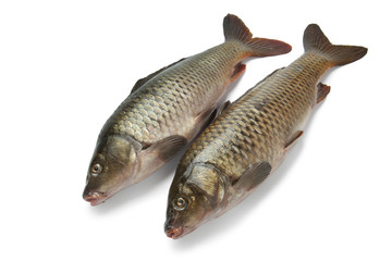 Two whole carps