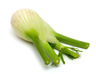 fennel isolated on white background