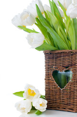 tulips in a wicker basket