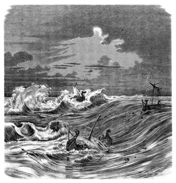 Drakkars : Shipwreck - Naufrage dans le Maelstrom