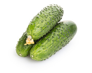 fresh greenhouse cucumbers