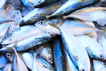Obraz premium Fresh Fish on a Market
