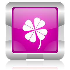 four-leaf clover pink square web glossy icon
