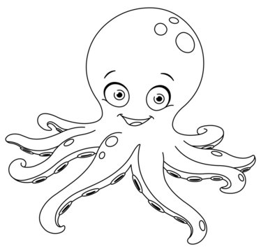 Outlined octopus