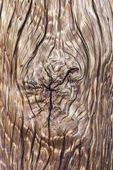 Obraz premium Drewniany Tekstury Tło