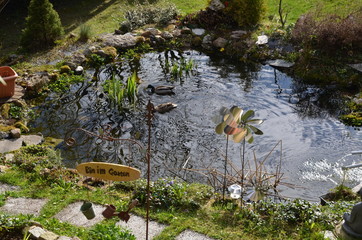 Gartenteich Frühling Enten