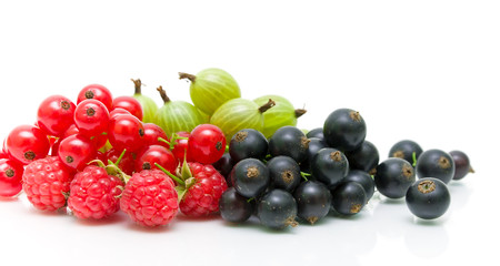 red and black currants and gooseberries on a white background.
