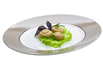 Ripe fresh Champignon