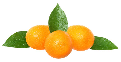 Group of fresh kumquat with leaf close up isolated