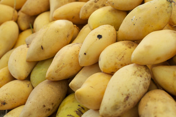 Fresh Mango on Market
