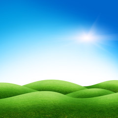 Obraz premium tree on the green field