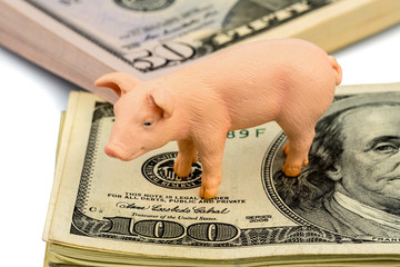 Schwein auf Dollar Banknoten