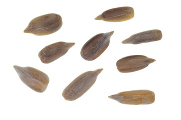 Obraz premium Sonnenblumenkerne ohne Schale