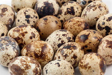 Fototapeta premium quail eggs