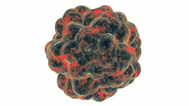 Cell growth