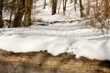 Fototapeta na wymiar Ślad stopy na upadłym tułowia w snowy lasu zimą.