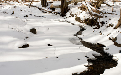 Stream covered with ice in snowy winter forest.