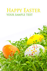 Decorative easter eggs in a grass