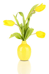 Yellow tulips in vase isolated on white