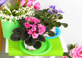 Colorful shelves and table with decorative elements and flowers