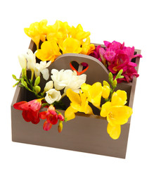 Beautiful flowers arranged in wooden box isolated on white