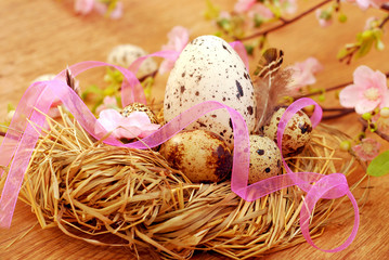 nest with quail eggs for easter