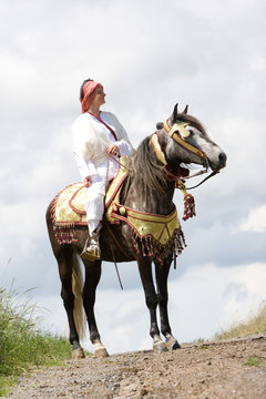 Berber Pferd