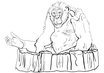 Gorilla sitting on big log in the zoo