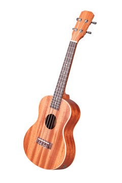 hawaiian guitar