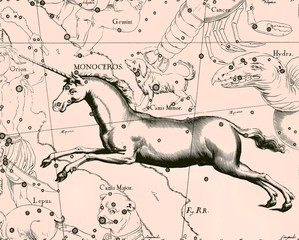 Constellation vintage map