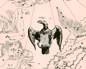 Constellation vintage map