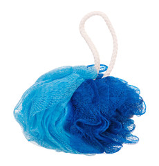 Bath sponge