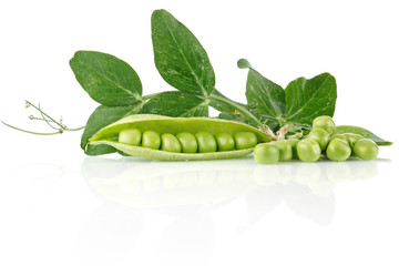 fresh pea with green leaves