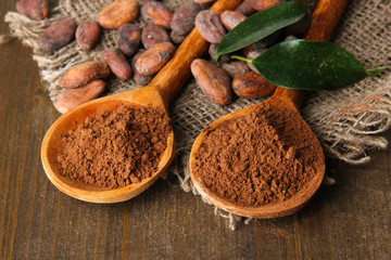 Cocoa powder and beans in spoons on wooden background