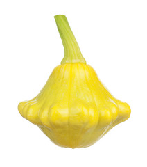 Yellow squash