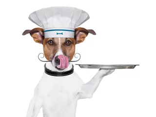 Stickers pour porte Chien fou dog cook chef