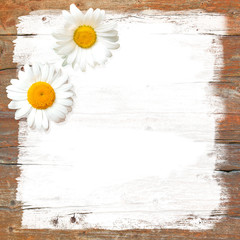 Zwei Margeriten auf Holz, zwei Blüten, Grußkarte