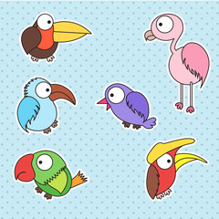 bird kid