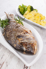 Delicious seafood background.