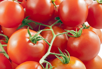 Grappolo di pomodoro Pachino