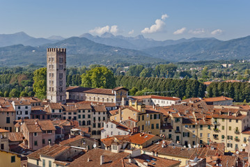 Lucca panoramic view, Tuscany, Italy - obrazy, fototapety, plakaty